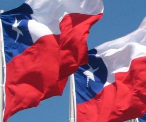 yapboz Şili bayrağı